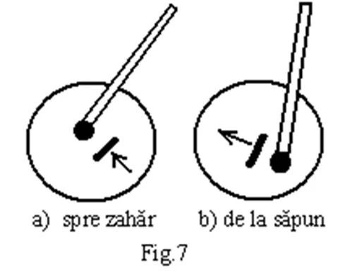 Fig. 7: o surcică pe apă se deplasează spre zahăr (a) și se îndepărtează de săpun (b)